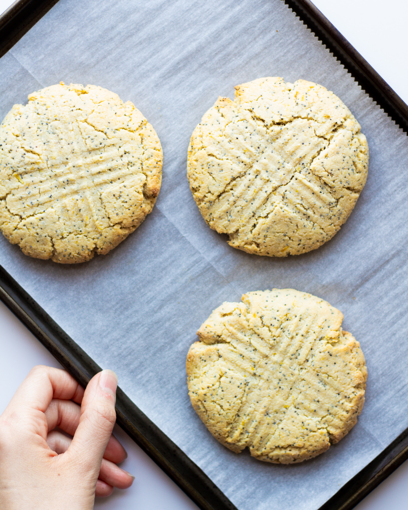 Lenny & Larry's Lemon Poppyseed Cookie Remake