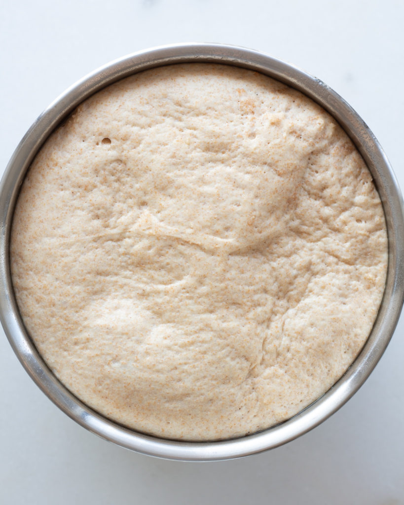 whole wheat dough