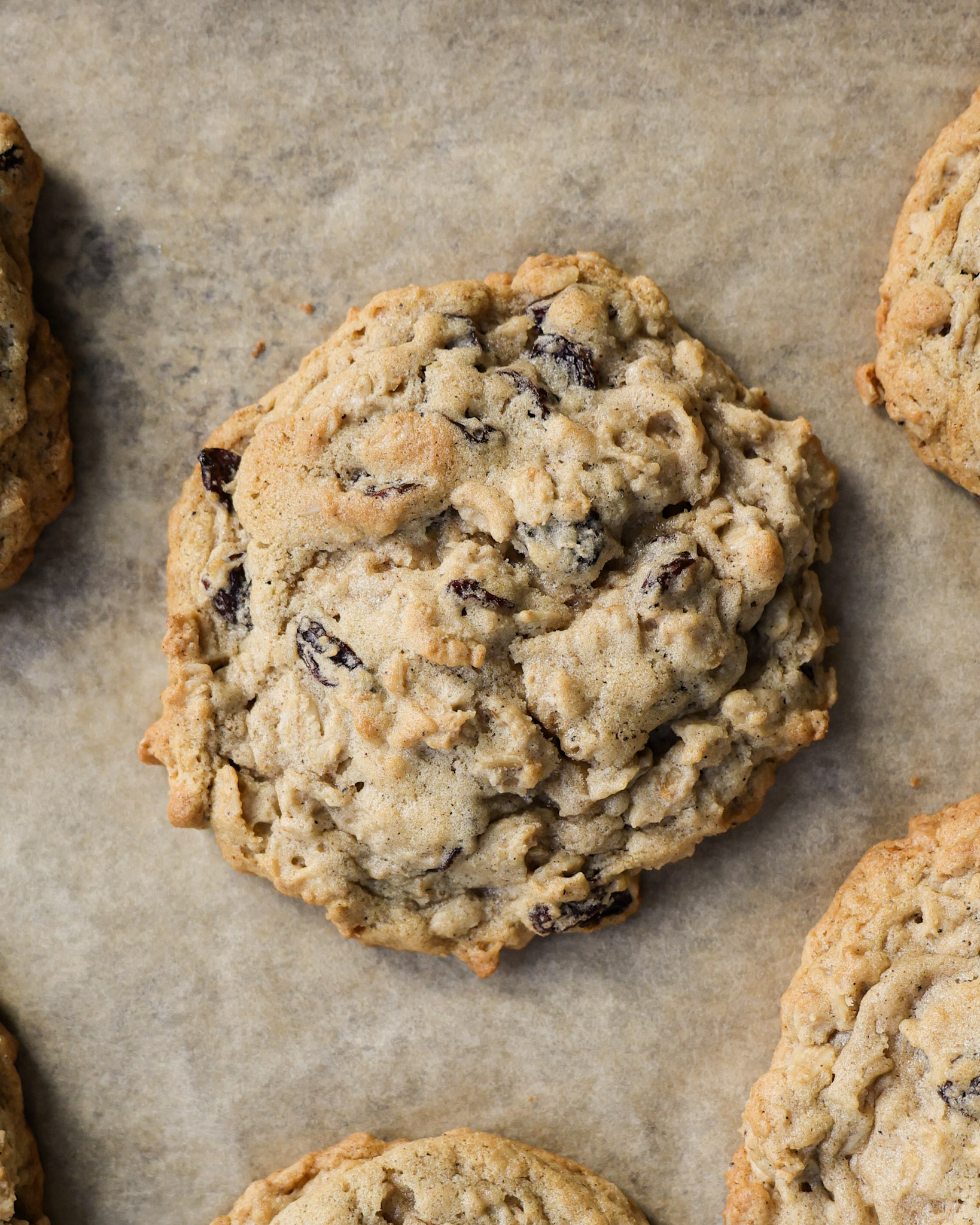 baked brown butter oatmeal raisin cookies on baking sheet.